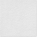 ALIS Color #2 White