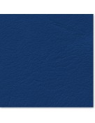 CADRIA Color  Blue wesli