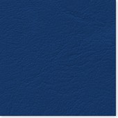 CADRIA Color  Blue wesli