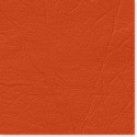 COMELI Color #39 Orange
