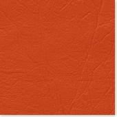 COMELI Color #39 Orange