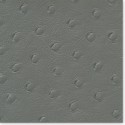 STRUZZO Color #5Clear Grey