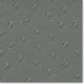STRUZZO Color #5Clear Grey