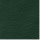 TEIDE Color Green.s